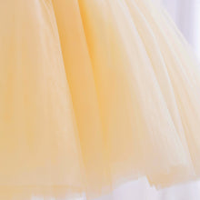 Load image into Gallery viewer, Kids Girl Tulle Embroidery Sleeveless Elegant Flower Dress + Flower Hairband, for Weddings, Parties, Birthdays, Fashion Shows & Piano Perform Toddler Formal Dress