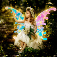 Load image into Gallery viewer, Glowing Butterfly Wings Fairy Costume Angel Wings for Girls Fun Play Fancy Dress-up for Kids Halloween Cosplay Christmas Birthdays