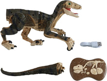 Load image into Gallery viewer, Rechargeable Remote Control Dinosaur Toy with Walking Feature & Roaring Sounds Lights Realistic T-Rex Dinosaur Robot for Kids Toys Gifts