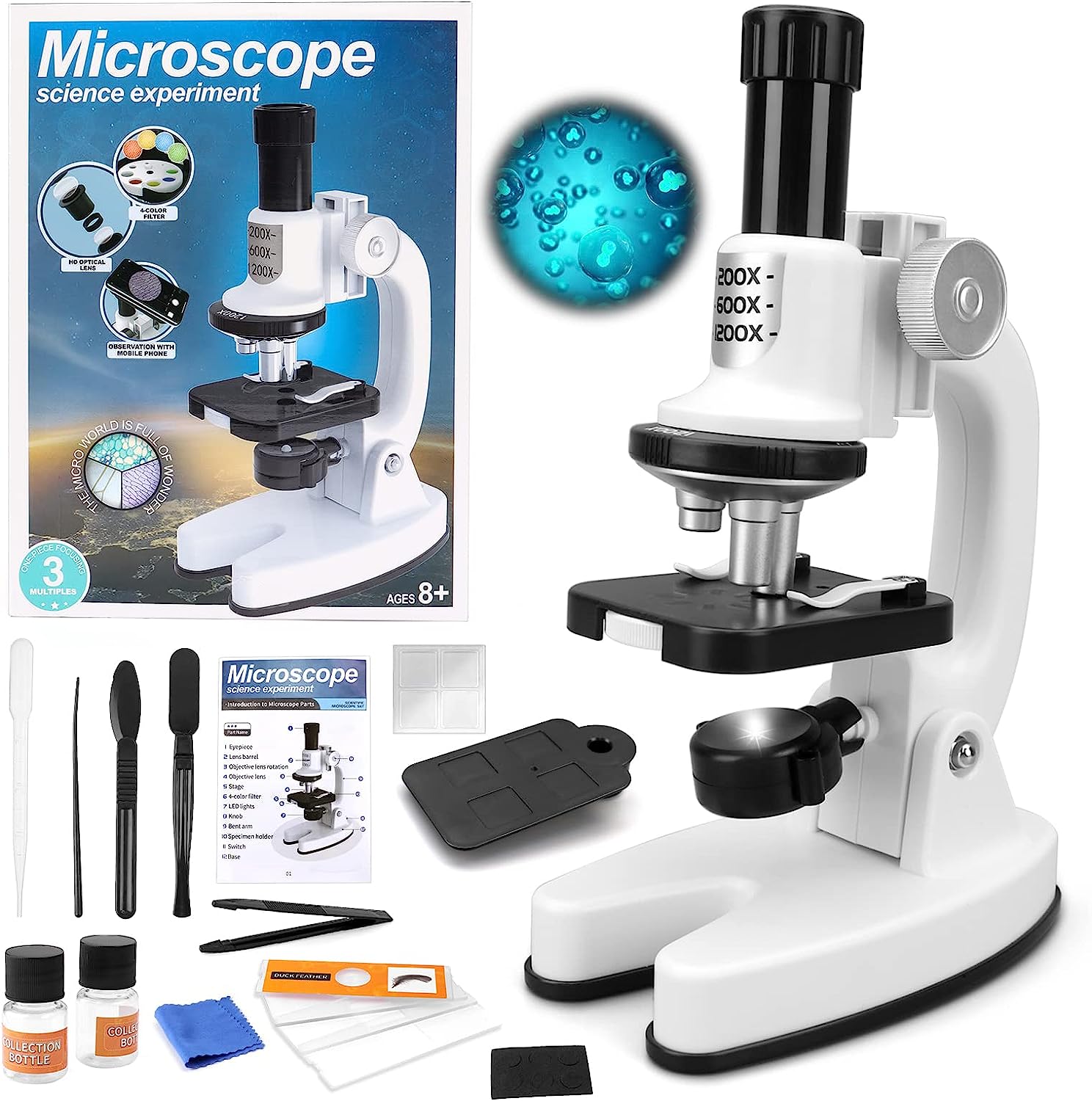 Portable Microscope - Toodleydoo Toys