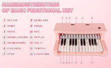 Load image into Gallery viewer, Piano Toy 25 Keys Music Toy Instruments with Microphone Piano Keyboard Toy for Kids Kids Piano Toys Birthday Xmas Gift for Girls
