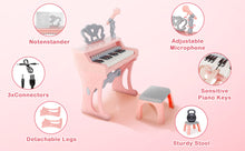 Load image into Gallery viewer, Piano Toy 25 Keys Music Toy Instruments with Microphone Piano Keyboard Toy for Kids Kids Piano Toys Birthday Xmas Gift for Girls
